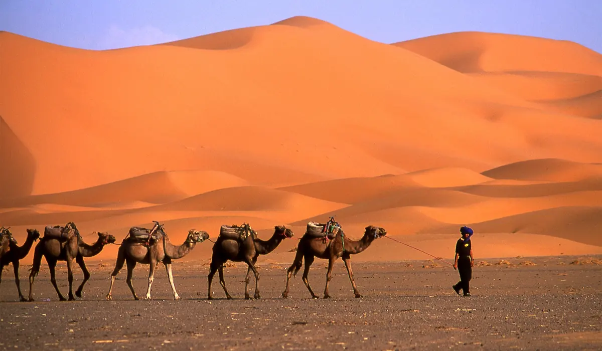 5 Days Tour from Marrakech to Fes