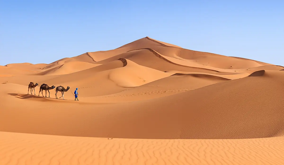 Tour di 5 giorni da Marrakech a Fès