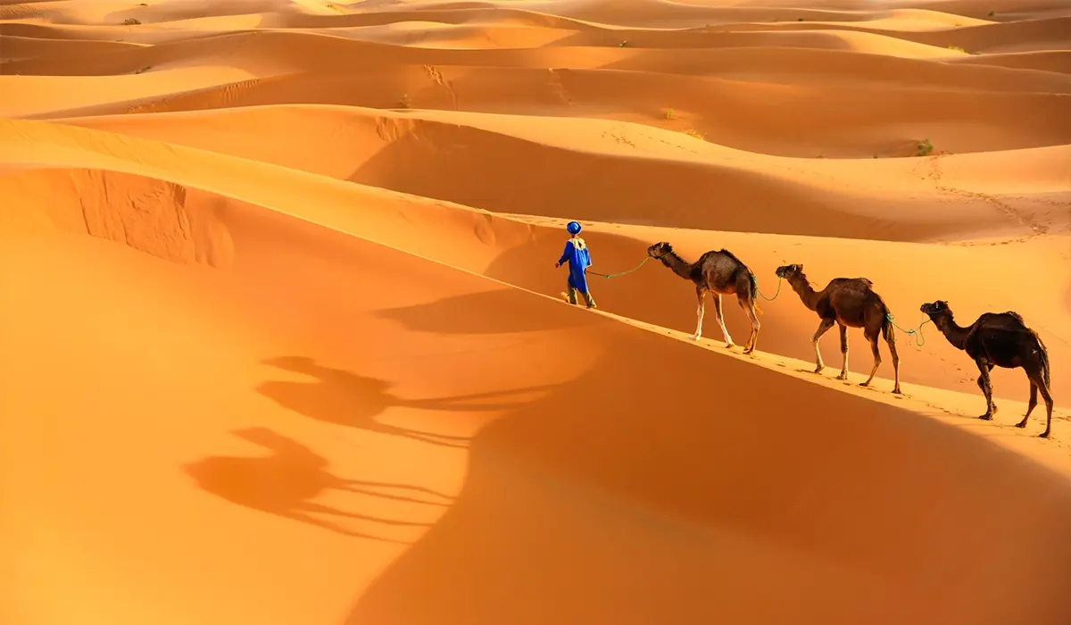 5-Day Tour from Marrakech to the Desert