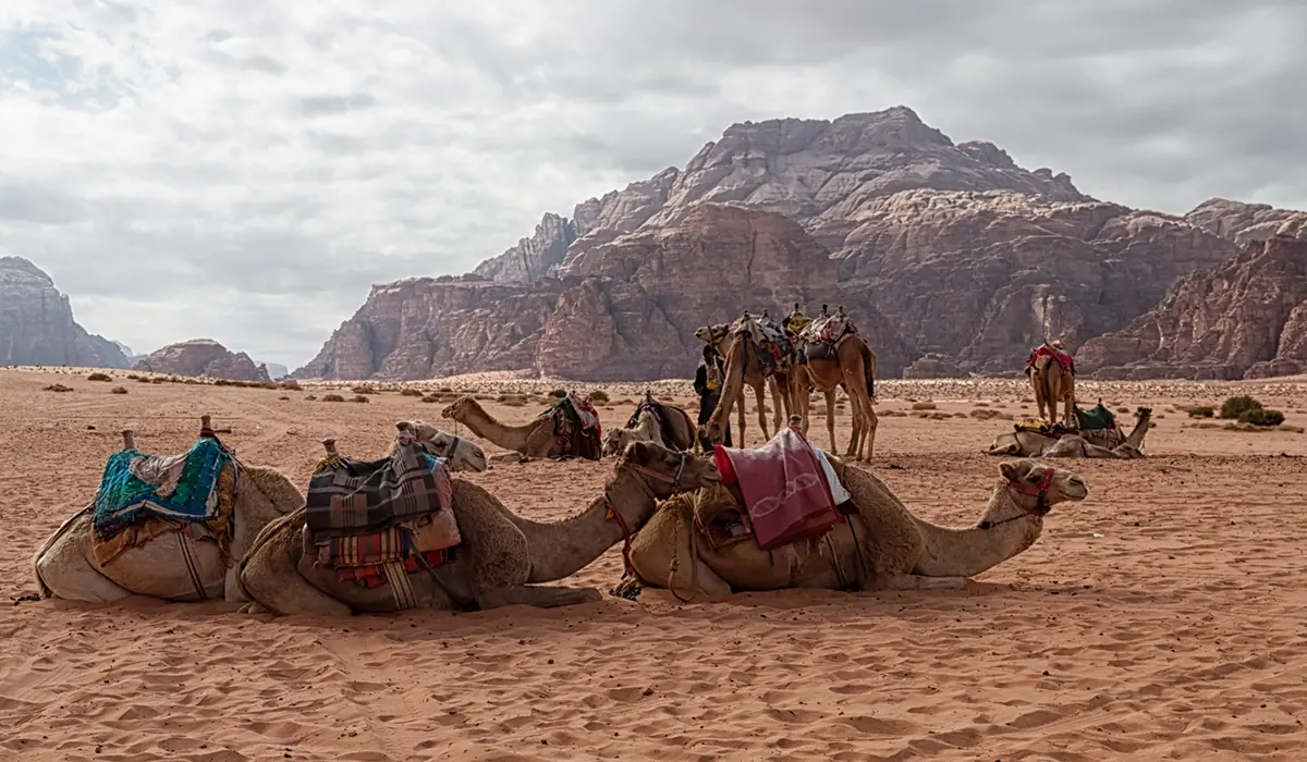 Tour di 5 giorni da Marrakech al deserto