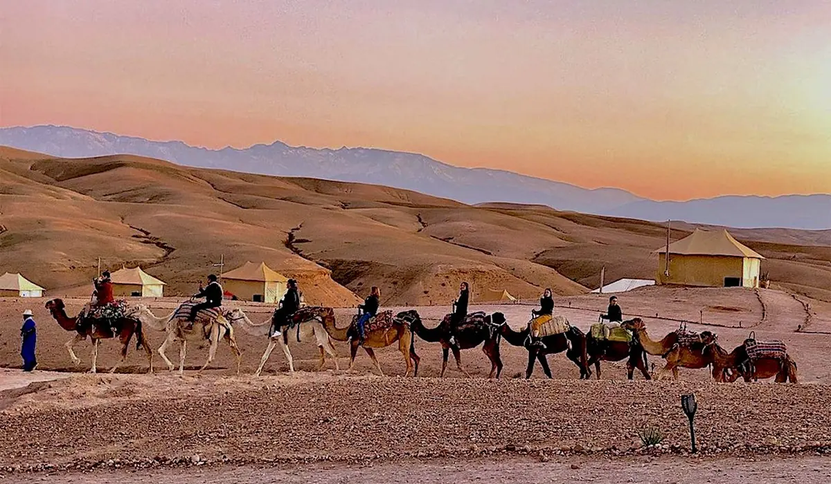 Camel Riding Ouarzazate