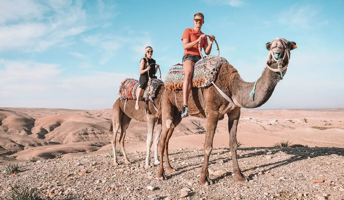 Camel Riding Ouarzazate