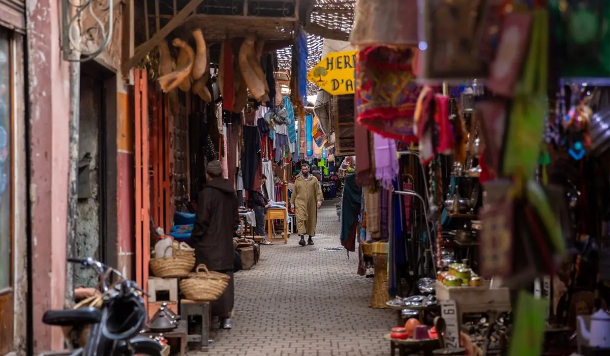 Day Tour in Marrakech