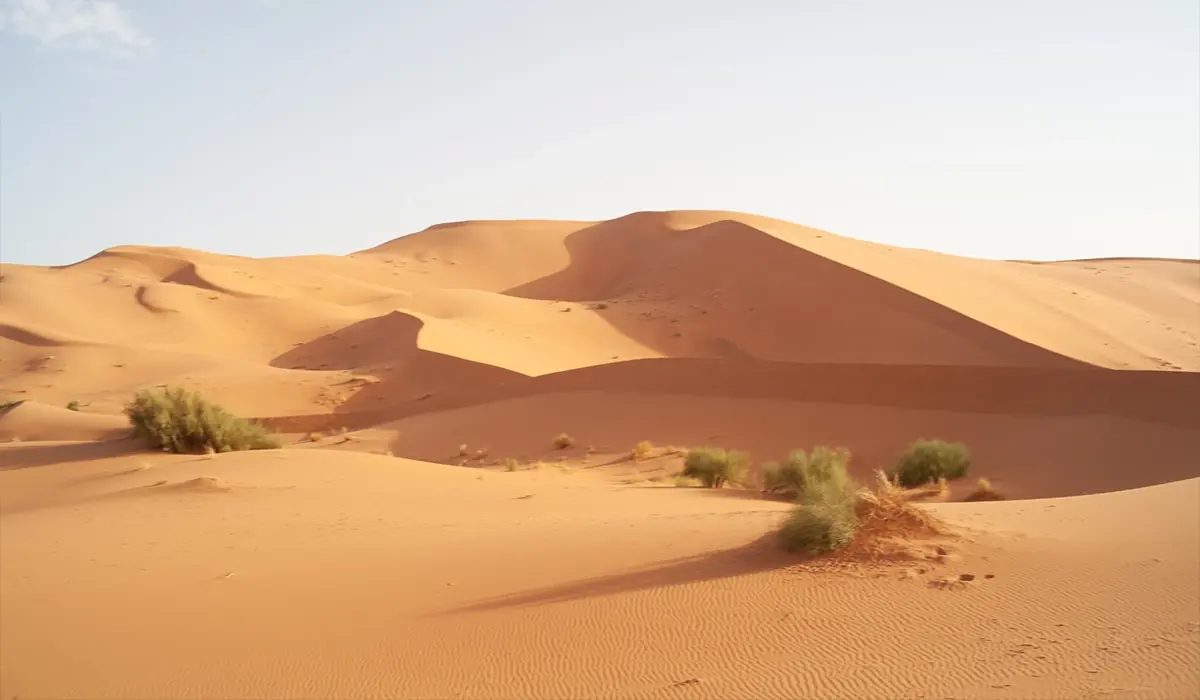 7 Tage Marokkos Königsstädte durch die Sahara