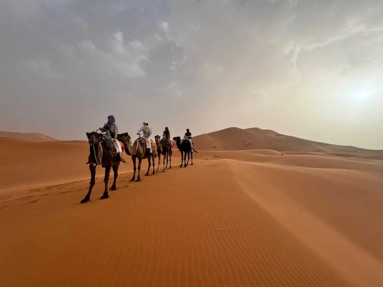 Escursione di un giorno da Ouarzazate all'Erg Tinfou