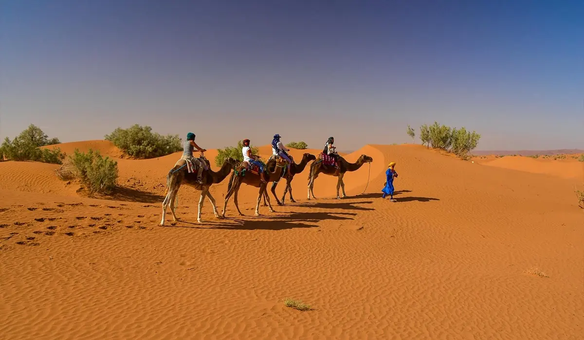 5 Days to Morocco Desert from Marrakech