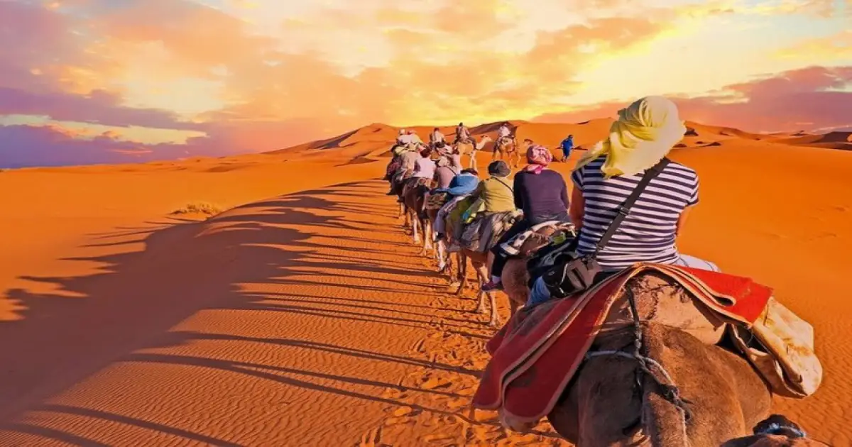 Experience Guided Excursions Moroccan Desert Today